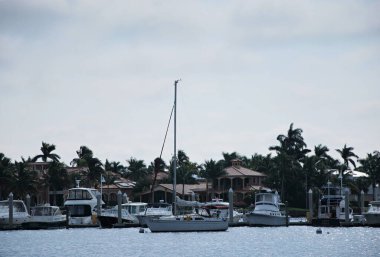 Marina Meksika Körfezi 'nde. Napoli, Florida' da.