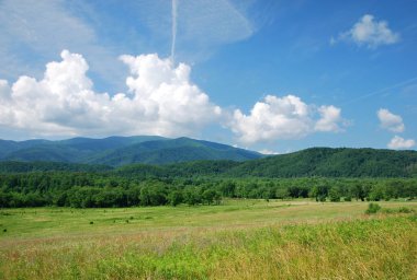 Great Smoky Dağları Ulusal Parkı, Tennessee 'deki Panorama Peyzajı