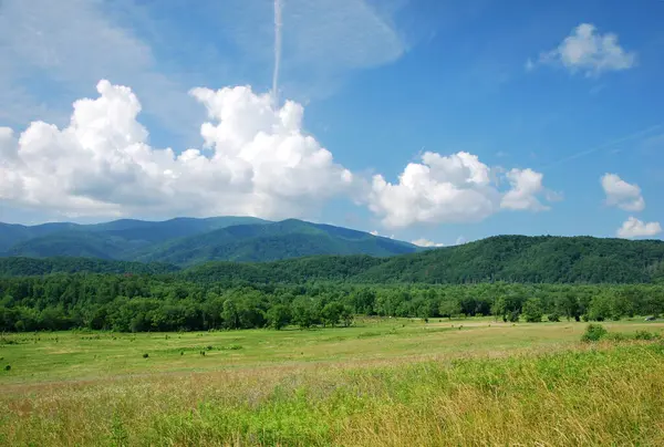 Great Smoky Dağları Ulusal Parkı, Tennessee 'deki Panorama Peyzajı
