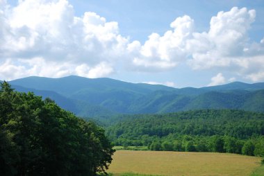 Büyük Smoky Dağları Ulusal Parkı, Wyoming 'deki Panorama Manzarası
