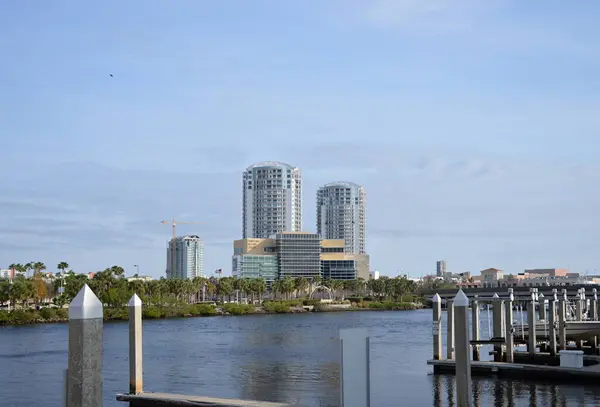 Panorama in Downtown Tampa, Florida