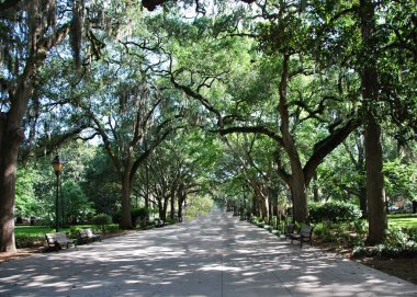 Savannah, Georgia 'daki Old Town' a park et.