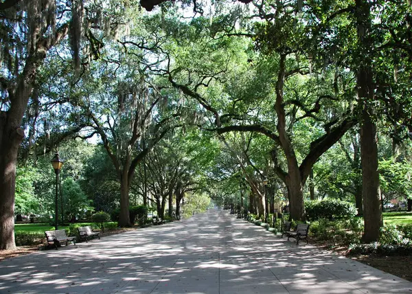 Savannah, Georgia 'daki Old Town' a park et.