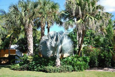 Napoli, Florida 'da Sokak Sahnesi