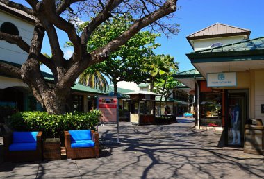Tatil köyü Büyük Ada, Waikoloa, Hawaii