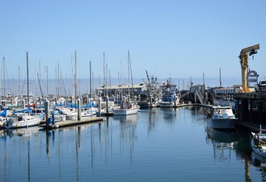 Monterey, California 'da Pasifik' te Marina.