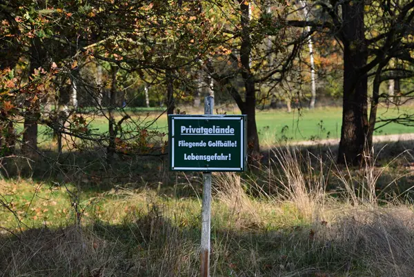 Heath Tietlinger 'da Sonbahar Heide, Walsrode, Aşağı Saksonbahar