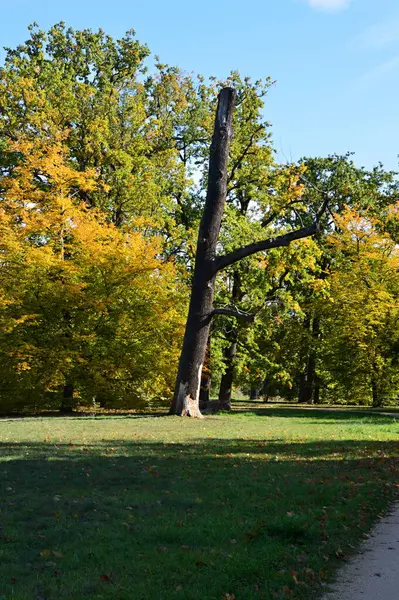 Herbst Park Neuer Garten Der Brandenburgischen Landeshauptstadt Potsdam — Stockfoto