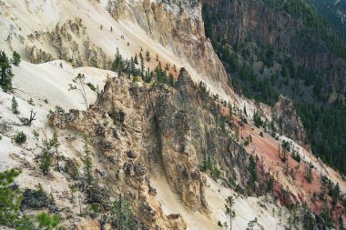 Yellowstone Ulusal Parkı Wyoming 'de arazi temizliği.