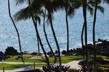 Resort at the Pacific, Waikoloa on Big Island, Hawaii