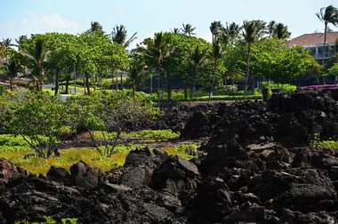 Büyük Ada Hawaii 'de Waikoloa' da Pasifik 'teki Lav Sahili.
