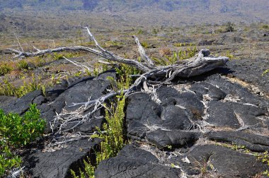 Hawaii, Büyük Ada 'daki Volkanik Ulusal Park' taki manzara
