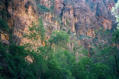 Zion Ulusal Parkı 'ndaki dağ manzarası, Utah