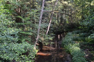 Baharda Warnau Nehri 'nde manzara, Cordingen, Aşağı Saksonya