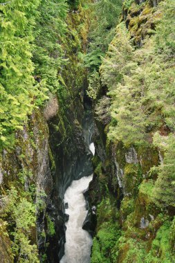 Kuzey Şelalesi Ulusal Parkı, Washington