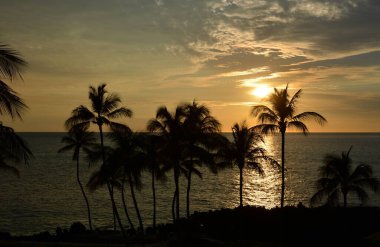 Büyük Ada, Hawaii 'de Waikokoa' da Pasifik üzerinde gün batımı