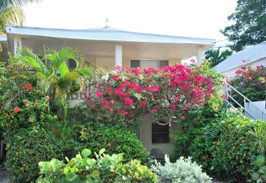 Florida Keys 'in Key West caddesinde sokak manzarası