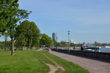 Kuzey Ren 'in başkenti Duesseldorf' taki Ren Nehri 'nde gezinti.