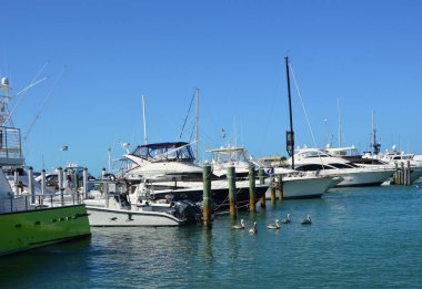 Florida Keys 'deki Key West' teki Meksika Körfezi 'ndeki Marina.