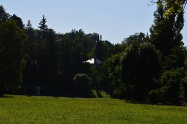 Weimar, Thüringen 'deki Ilm Nehri' ne park et.