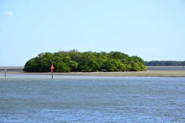 Everglades Ulusal Parkı, Florida