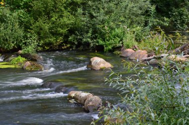 Park at the River Boehme in the Town Bad Fallingbostel, Lower Saxony