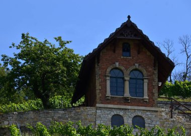 Saksonya, Unstrut Nehri 'ndeki Freyburg Kasabası' ndaki Tarihi Şarap Bahçesi.