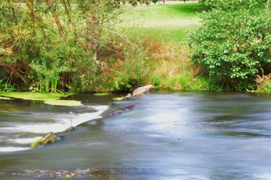 Park at the River Boehme in the Town Bad Fallingbostel, Lower Saxony clipart