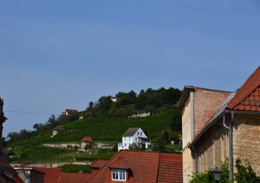 Freyburg, Saksonya 'daki Nehirdeki Şarap Bahçesi.