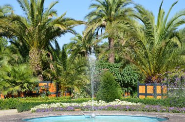 Bad Pyrmont 'taki Palm Garden, Aşağı Saksonya
