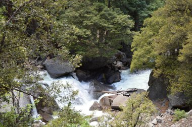 Yosemite Ulusal Parkı, Kaliforniya