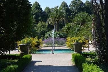 Bad Pyrmont 'taki Palm Garden, Aşağı Saksonya