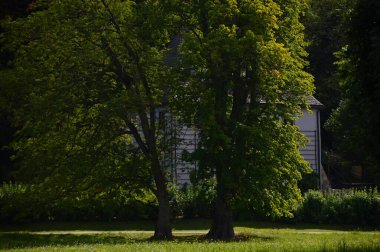 Weimar, Thüringen 'deki Ilm Nehri' ne park et.