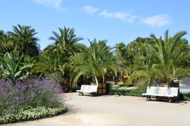 Bad Pyrmont 'taki Palm Garden, Aşağı Saksonya