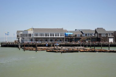 39. iskele, San Francisco Körfezi California.