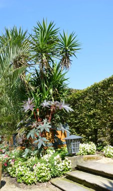 Bad Pyrmont 'taki Palm Garden, Aşağı Saksonya