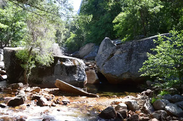 Yosemite Ulusal Parkı, Kaliforniya