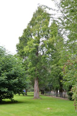 Bad Pyrmont, Aşağı Saksonya 'ya park et.