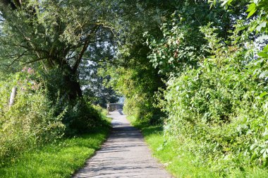 Luegde kasabasında yol, Kuzey Ren - Vestfalya