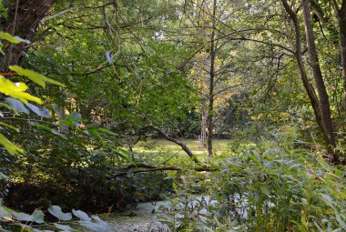 Landscape in Autumn at the River Boehme in the Town Walsrode, Lower Saxony clipart