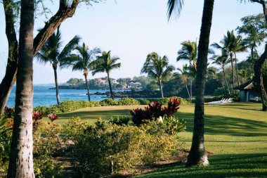 Maui, Hawaii 'deki Bahçe