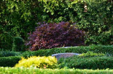 Sonbaharda Walsrode, Aşağı Saksonya 'da bir mezarlık.