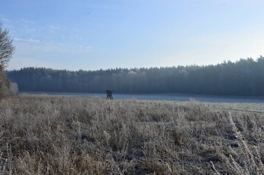 Landscape in Winter in the Heath Lueneburger Heide, Lower Saxony clipart