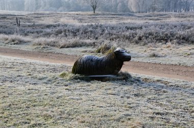 Landscape in Winter in the Heath Lueneburger Heide, Lower Saxony clipart