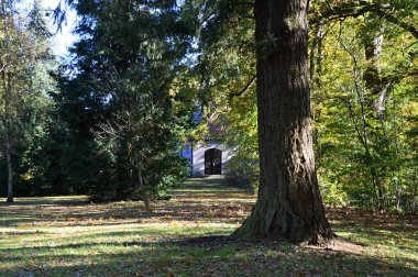 Sonbaharda park et Köy Dorfmark, Aşağı Saksonya