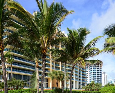 Miami South Beach, Florida 'da Sokak Sahnesi
