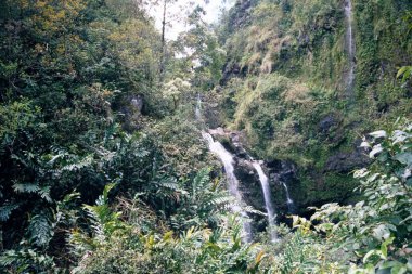 Maui, Hawaii 'deki Tropik Manzara