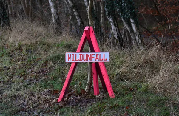 Heath Lueneburger Heide, Aşağı Saksonya 'da Oyun Kazası