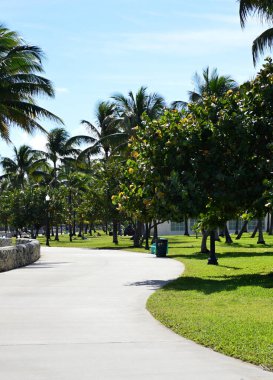 Miami South Beach, Florida 'da park