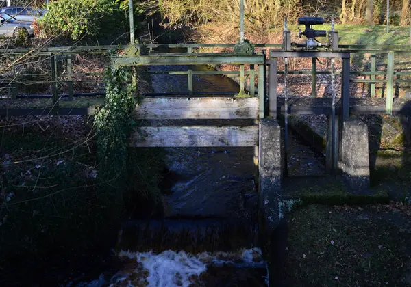 Walsrode, Aşağı Saksonya 'daki Klostersee Gölü' nde kış manzarası